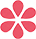 花形图标